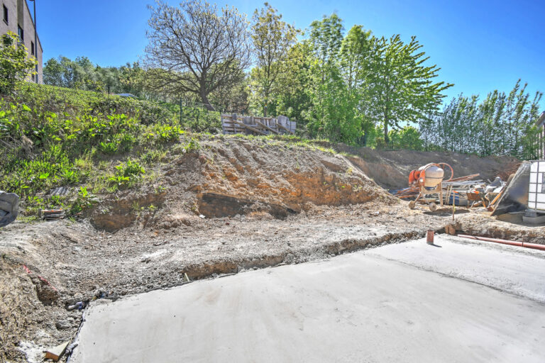 7804745_79591529.jpg